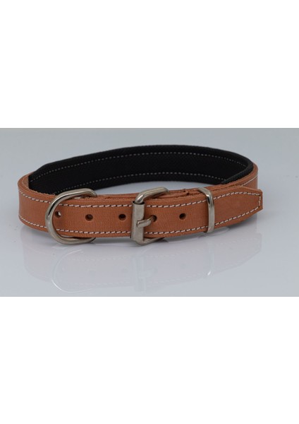 Deri Köpek Boyun Tasması fiyatları