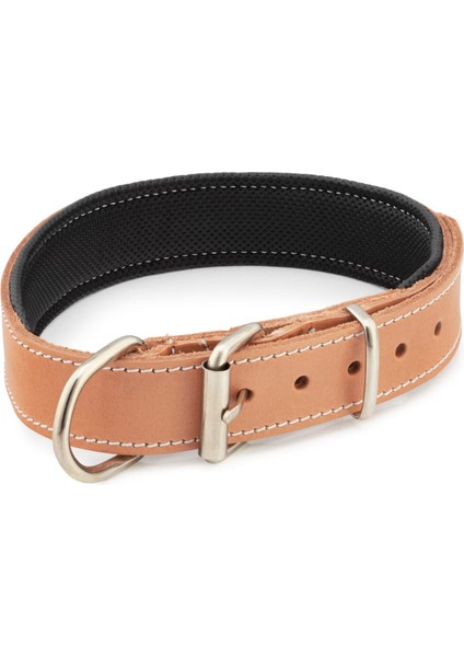 Deri Köpek Boyun Tasması modelleri