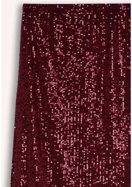 A Kesim Normal Bel Payetli Kumaş Maxi Etek E2440AX24WN