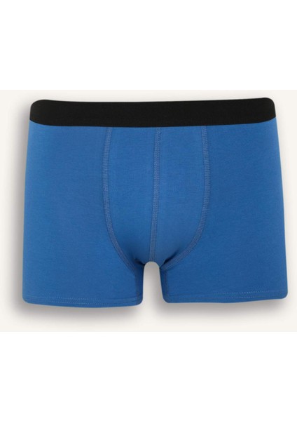 Regular Fit Hayvan Baskılı 3'lü Boxer