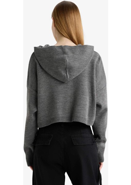 Regular Fit Kapüşonlu Basic Düz Fermuarlı Triko Hırka E2270AXNS