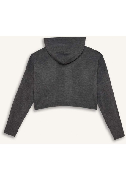 Regular Fit Kapüşonlu Basic Düz Fermuarlı Triko Hırka E2270AXNS