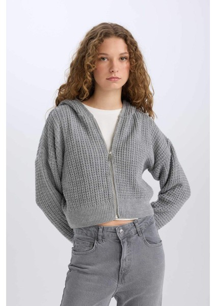 Regular Fit Kapüşonlu Fermuarlı Triko Hırka E2269AXNS