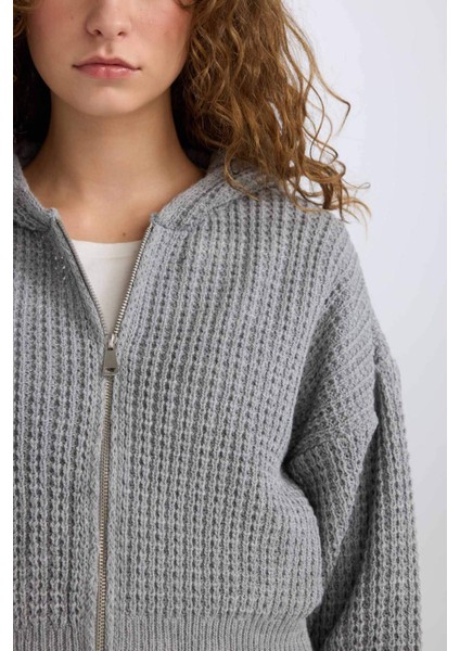 Regular Fit Kapüşonlu Fermuarlı Triko Hırka E2269AXNS