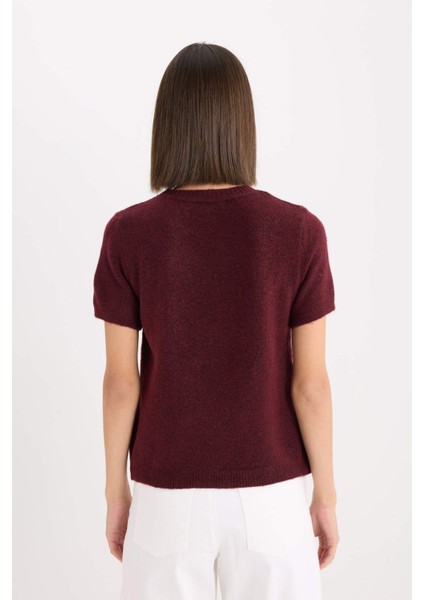 Regular Fit Bisiklet Yaka Basic Düz Triko Kısa Kollu Tişört Kazak E3214AX24WN