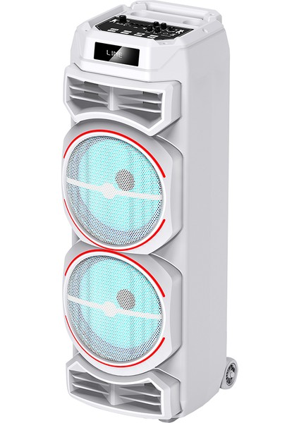 GD-2828 Dijital LED Göstergeli Mikrofonlu Rgb Tws Çift 8 Inç Stereo Bass Kablosuz Karaoke Hoparlör