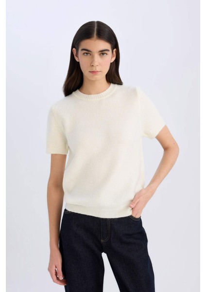 Regular Fit Bisiklet Yaka Basic Düz Triko Kısa Kollu Tişört Kazak E3214AX24WN