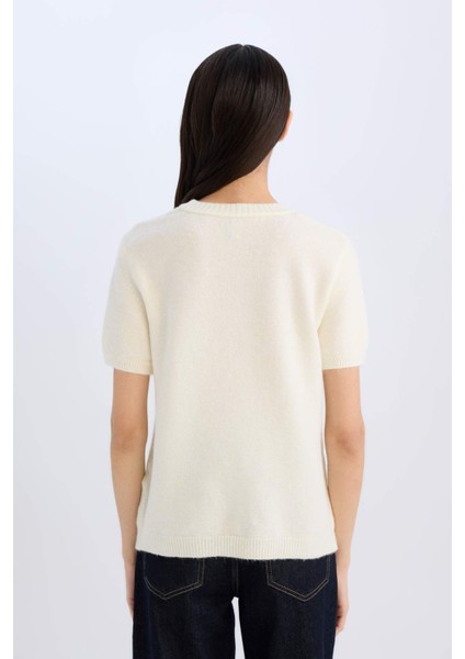 Regular Fit Bisiklet Yaka Basic Düz Triko Kısa Kollu Tişört Kazak E3214AX24WN