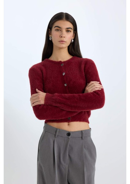 Regular Fit Bisiklet Yaka Düğmeli Triko Bordo Hırka E2428AX24WN