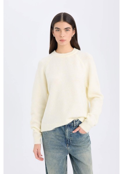 Regular Fit Bisiklet Yaka Basic Düz Triko Kazak D0035AX24WN