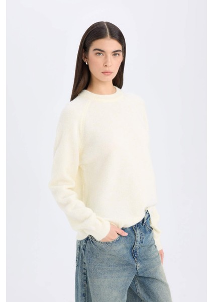 Regular Fit Bisiklet Yaka Basic Düz Triko Kazak D0035AX24WN