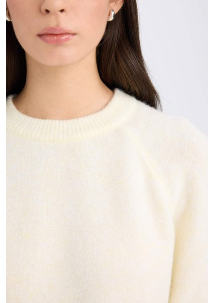 Regular Fit Bisiklet Yaka Basic Düz Triko Kazak D0035AX24WN