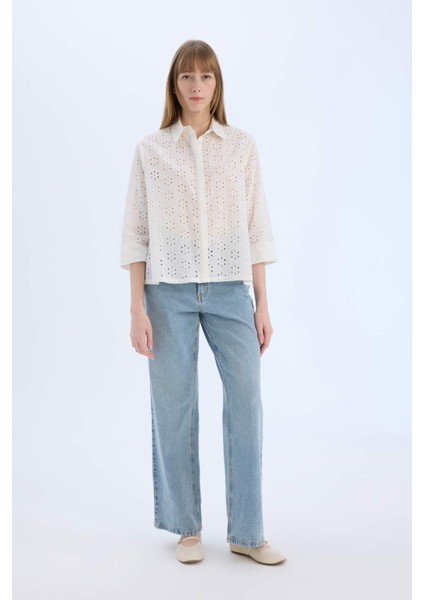 Regular Fit Brode Uzun Kollu Gömlek E2005AX25SP