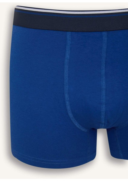 Regular Fit Baskılı 3'lü Boxer D9877AX25SM