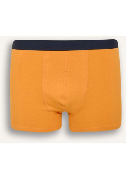 Regular Fit Baskılı 3'lü Boxer D9875AX25SP