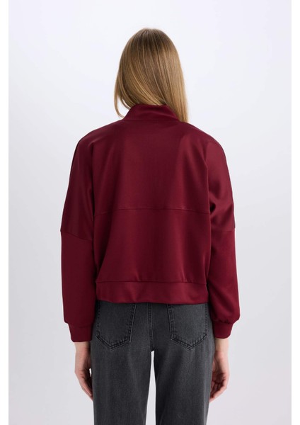 Regular Fit Kolej Yaka Fermuarlı Cepli Basic Düz Bomber Hırka E3952AX24WN