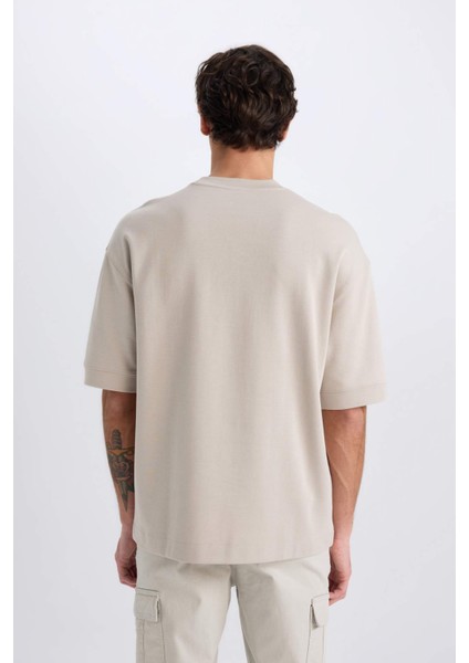 Loose Fit Bisiklet Yaka Baskılı Kısa Kollu Ağır Kumaş Tişört E0575AX25SM