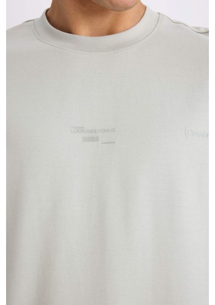 Loose Fit Bisiklet Yaka Baskılı Kısa Kollu Ağır Kumaş Tişört E0575AX25SM