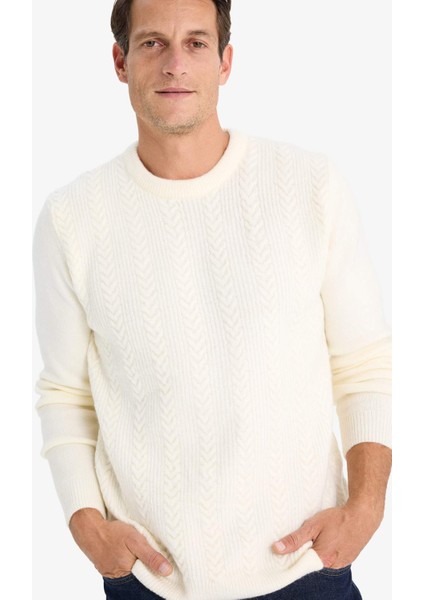 Standart Fit Bisiklet Yaka Triko Kazak E1007AX24WN