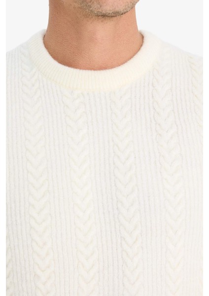 Standart Fit Bisiklet Yaka Triko Kazak E1007AX24WN