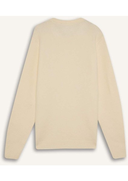 Standart Fit Bisiklet Yaka Triko Kazak E1007AX24WN