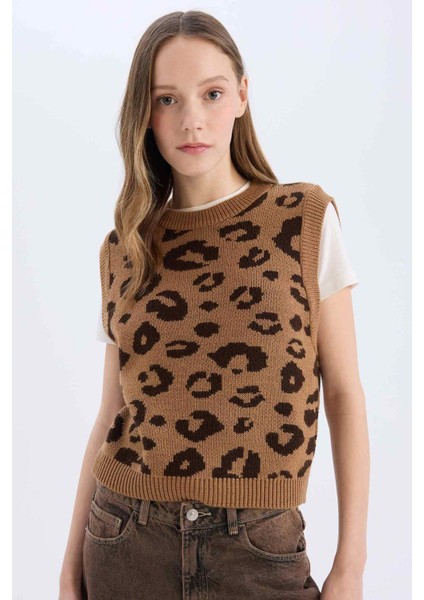Coool Bisiklet Yaka Leopar Desenli Triko Süveter E4461AX25SP
