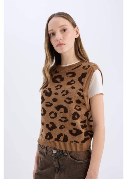 Coool Bisiklet Yaka Leopar Desenli Triko Süveter E4461AX25SP