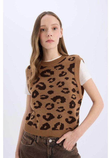 Coool Bisiklet Yaka Leopar Desenli Triko Süveter E4461AX25SP