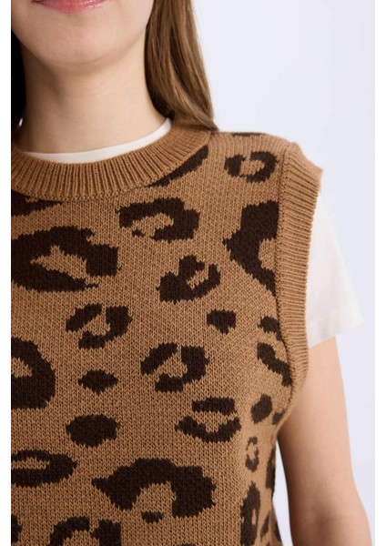 Coool Bisiklet Yaka Leopar Desenli Triko Süveter E4461AX25SP