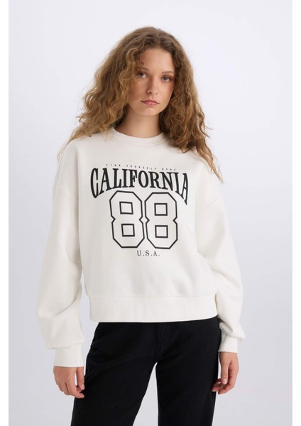 Loose Fit Bisiklet Yaka Baskılı Kalın Sweatshirt E3388AXNS