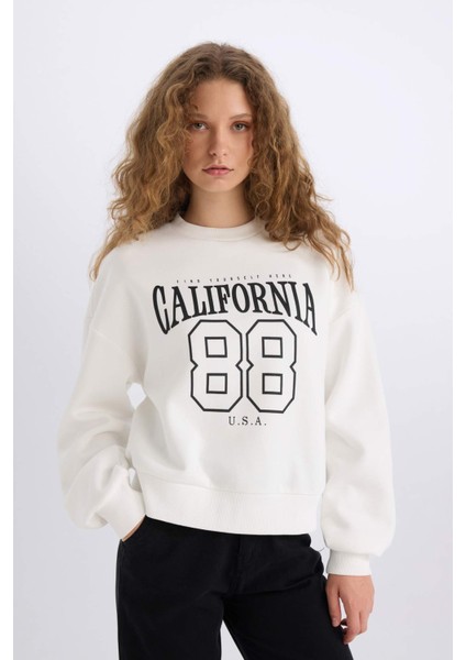 Loose Fit Bisiklet Yaka Baskılı Kalın Sweatshirt E3388AXNS