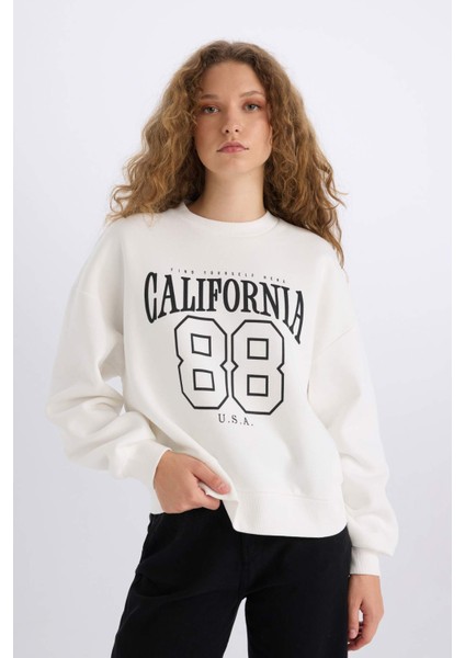 Loose Fit Bisiklet Yaka Baskılı Kalın Sweatshirt E3388AXNS
