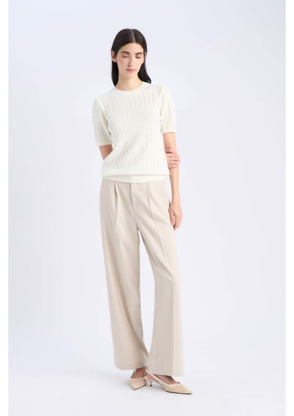 Regular Fit Bisiklet Yaka Basic Düz Triko Kısa Kollu Kazak D3306AX25SM