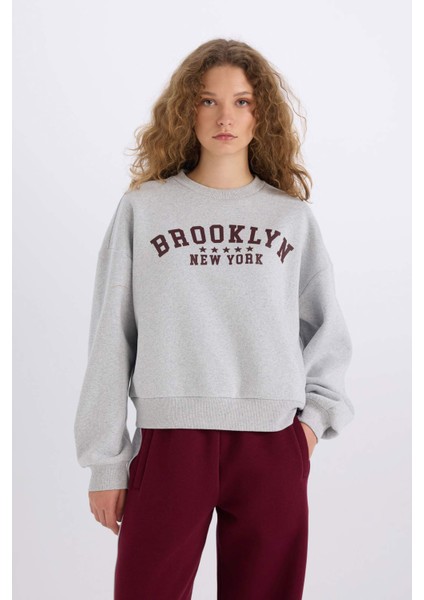 Loose Fit Bisiklet Yaka Baskılı Kalın Sweatshirt E3387AXNS