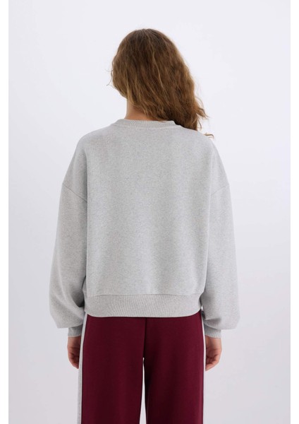Loose Fit Bisiklet Yaka Baskılı Kalın Sweatshirt E3387AXNS