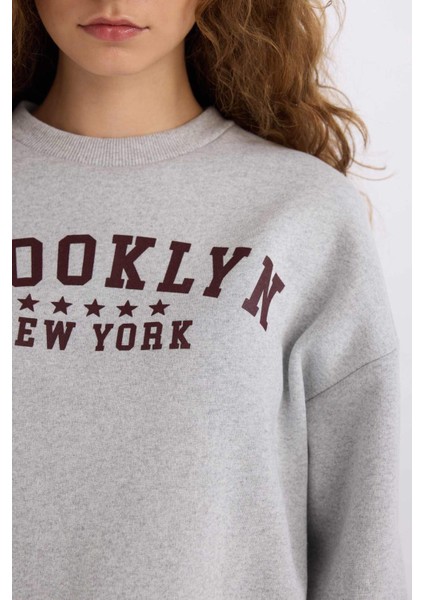 Loose Fit Bisiklet Yaka Baskılı Kalın Sweatshirt E3387AXNS