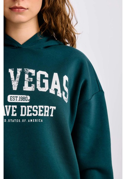 Regular Fit Kapüşonlu Baskılı Kalın Sweatshirt E3331AXNS