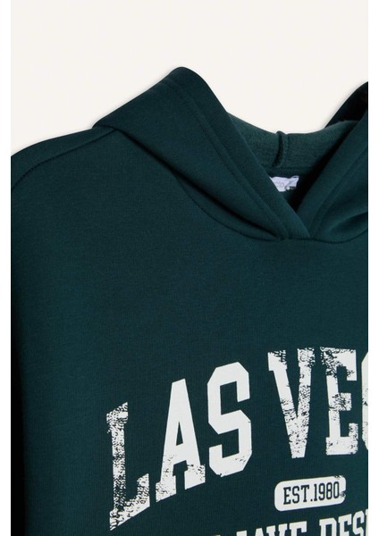 Regular Fit Kapüşonlu Baskılı Kalın Sweatshirt E3331AXNS