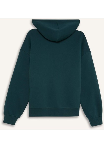 Regular Fit Kapüşonlu Baskılı Kalın Sweatshirt E3331AXNS