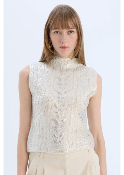 Regular Fit Yarım Balıkçı Yaka Parlak Triko Süveter E5571AX24CW