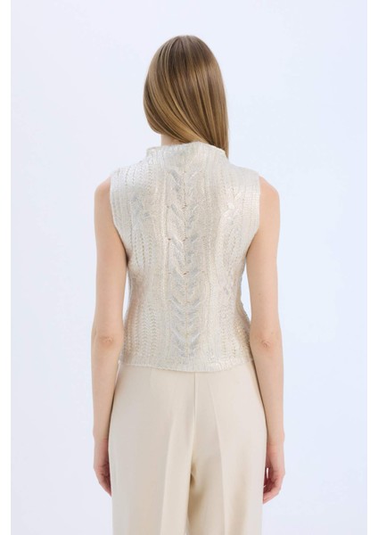 Regular Fit Yarım Balıkçı Yaka Parlak Triko Süveter E5571AX24CW