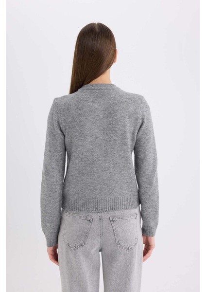 Regular Fit Bisiklet Yaka Basic Düz Düğmeli Soft Touch Yumuşak Triko Hırka E3654AX25SP