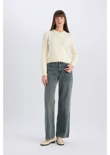 Regular Fit Bisiklet Yaka Basic Düz Düğmeli Soft Touch Yumuşak Triko Hırka E3654AX25SP