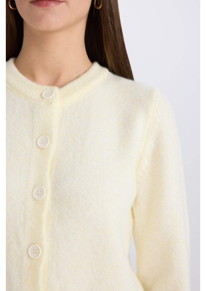 Regular Fit Bisiklet Yaka Basic Düz Düğmeli Soft Touch Yumuşak Triko Hırka E3654AX25SP