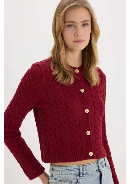 Regular Fit Bisiklet Yaka Selanik Örgü Desenli Triko Hırka C9044AX25SP