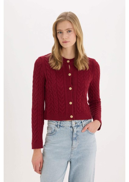 Regular Fit Bisiklet Yaka Selanik Örgü Desenli Triko Hırka C9044AX25SP