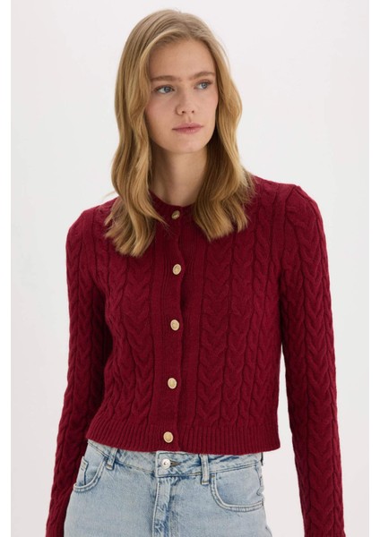 Regular Fit Bisiklet Yaka Selanik Örgü Desenli Triko Hırka C9044AX25SP