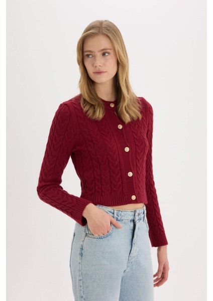 Regular Fit Bisiklet Yaka Selanik Örgü Desenli Triko Hırka C9044AX25SP