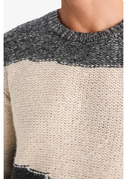 Standart Fit Bisiklet Yaka Triko Kazak E6985AX24WN