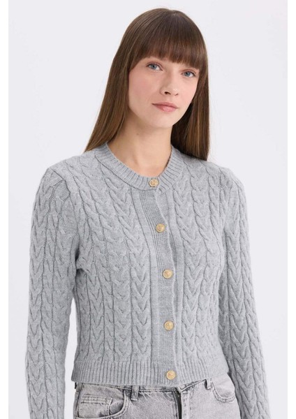 Regular Fit Bisiklet Yaka Selanik Örgü Desenli Triko Hırka C9044AX25SP